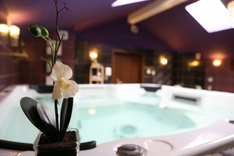 Hotel Zloty Mlyn Majkow Пётркув-Трыбунальский Экстерьер фото